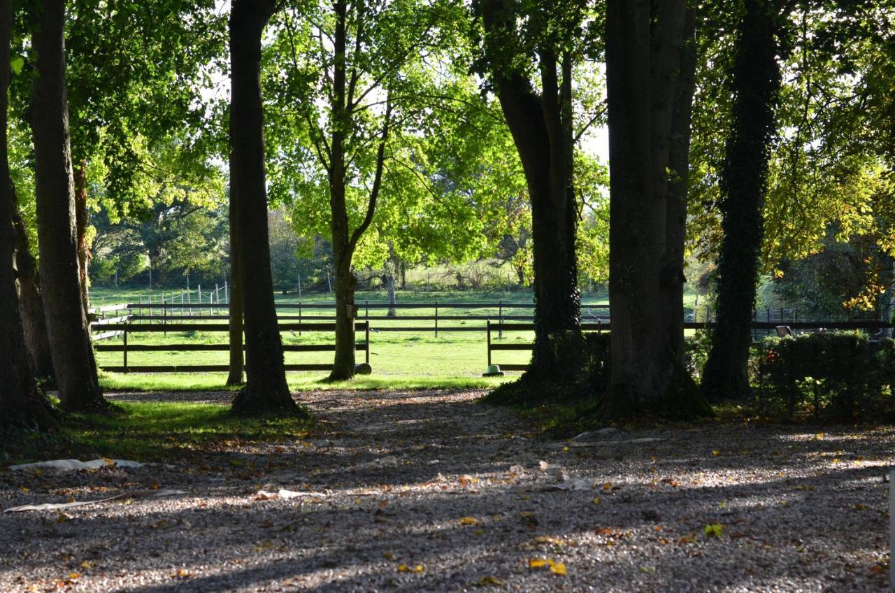 B&B La Tour Blanche Forest-Montiers 外观 照片